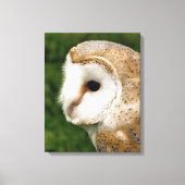 BARN OWLS CANVAS AFDRUK (Voorkant)