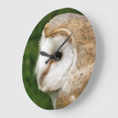 BARN OWLS GROTE KLOK (Hoek)