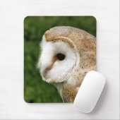 BARN OWLS MUISMAT (Met muis)