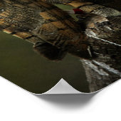 Barn Owls print (Hoek)