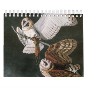 Barn Owls, the Birds of America John James Audubon Kalender