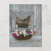 Barn Reflection Briefkaart (Voorkant)