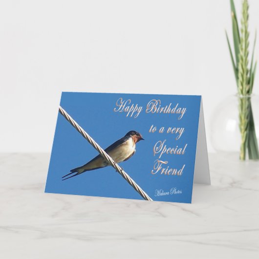 Barn Swallow Birthday Kaart (Voorkant)
