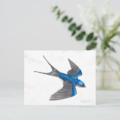 Barn Swallow Briefkaart (Staand voorkant)