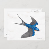 Barn Swallow Briefkaart (Voorkant / Achterkant)