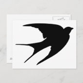 Barn Swallow Briefkaart (Voorkant / Achterkant)