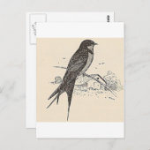 Barn Swallow Briefkaart (Voorkant / Achterkant)