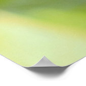 Barn Swallow Grooming Poster (Hoek)