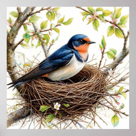 Barn Swallow Nesting op een met bloemen bedekte ta Poster (Voorkant)