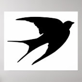 Barn Swallow Poster (Voorkant)