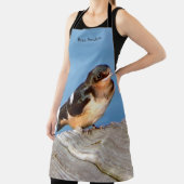 Barn Swallow schort (Insitu)