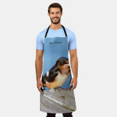 Barn Swallow schort (Gedragen)