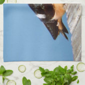 Barn Swallow serviette de cuisine (Plié)