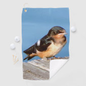 Barn Swallow serviette de golf (En situation)