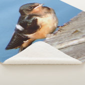 Barn Swallow sherpa blanket Deken (3/4)