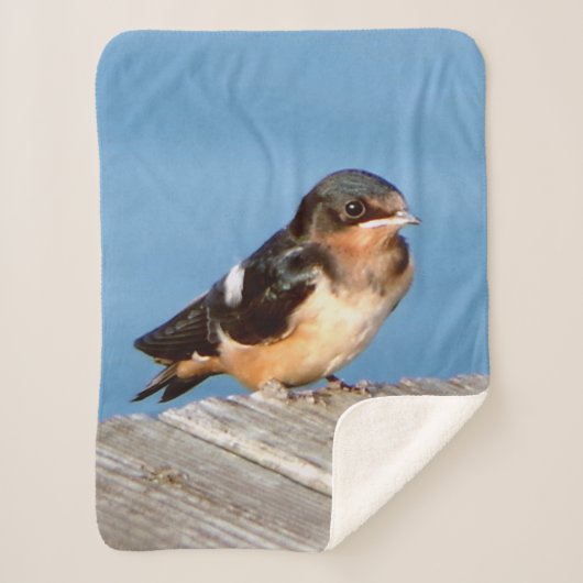 Barn Swallow sherpa blanket Deken (Voorkant)