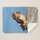 Barn Swallow sherpa blanket Deken (Voorkant (horizontaal))