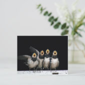 Barn Swallow Singing Briefkaart (Staand voorkant)