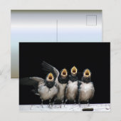 Barn Swallow Singing Briefkaart (Voorkant / Achterkant)