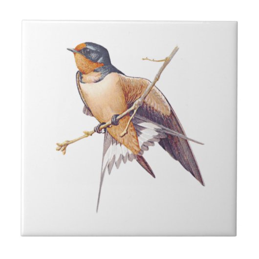 Barn Swallow Tile. Tegeltje (Voorkant)