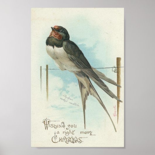 Barn Swallow Vintage Kerstmis Poster (Voorkant)