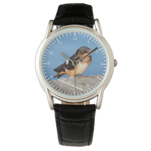 Barn Swallow watch Horloge