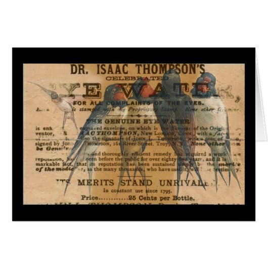 Barn Swallows  (Voorkant Horizontaal)