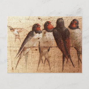 Barn Swallows Briefkaart