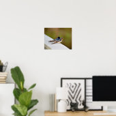 Barn Swallows Poster (Thuiskantoor)
