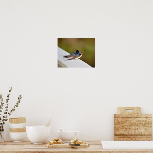 Barn Swallows Poster (Keuken)