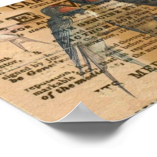 Barn Swallows  Poster (Hoek)