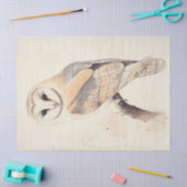 Barn Uil  Decoupage Vogelschildering Art Tissuepapier (Craft)