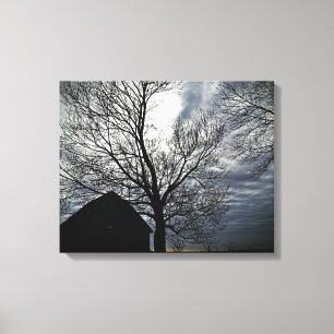 Barn w/Sky & Bare Trees Canvas zwart/wit foto Afdruk