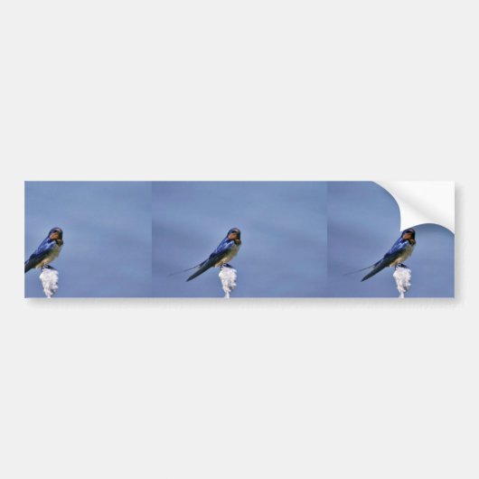 Barn-zwaluw Bumpersticker (Voorkant)