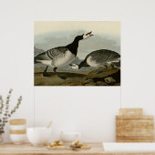 Barnacle Goose Poster (Keuken)