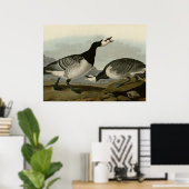 Barnacle Goose Poster (Thuiskantoor)