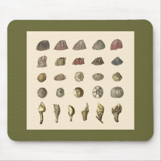 Barnacle mousepad muismat