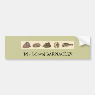 barnacle-slipje, mijn geliefde BARNACLES Bumpersticker