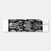 Barnacles Bumpersticker (Voorkant)