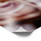 Barnacles Foto Afdruk (Hoek)