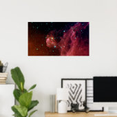 Barnard 30 poster (Thuiskantoor)