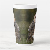 Barne Owl Latte Mug (Devant)