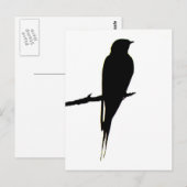 Barne Swallow carte postale mâle (Devant / Derrière)