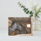 BarnHorse Fun Briefkaart (Staand voorkant)