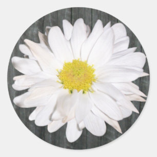 Barnwood en Daisy Sticker
