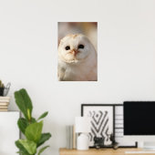 Barny the Barn owl Poster (Thuiskantoor)