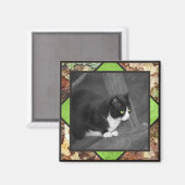 Barnyard Cat Magnet Magneet (Voorkant / Achterkant)