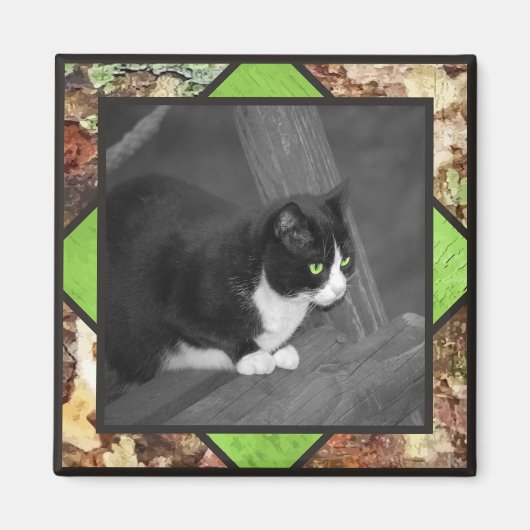 Barnyard Cat Magnet Magneet (Voorkant)