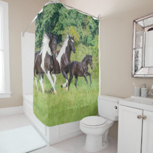Barock Pinto Horses Herd with Cute Foal Galloping Douchegordijn