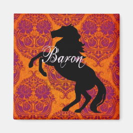 Baron Magnet Magneet